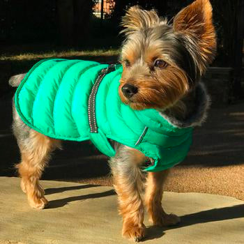 Puffer Dog Coat - Trendy Dog Boutique