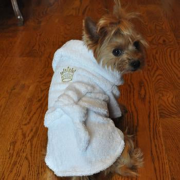 White Gold Crown Cotton Dog Bathrobe, On Dog - Trendy Dog Boutique