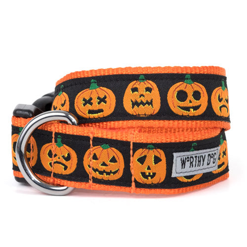 Jack o Lantern Halloween Dog Collar - Trendy Dog Boutique