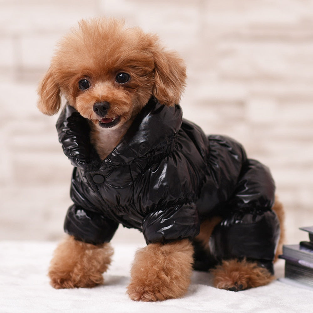 Puffer Coat for Dogs - Trendy Dog Boutique