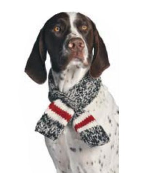 Red and White Boyfriend Dog Scarf, On Dog Model - Trendy Dog Boutique