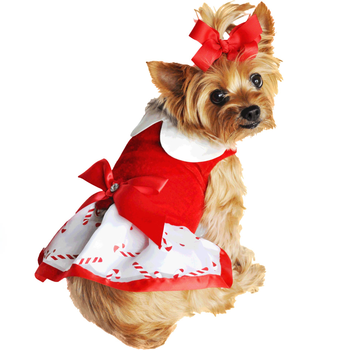 Candy Cane Holiday Dog Dress - Trendy Dog Boutique