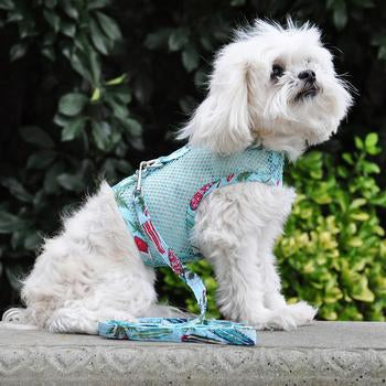 Cool Mesh Surfboards & Palms Dog Harness, On Dog, Side View - Trendy Dog Boutique