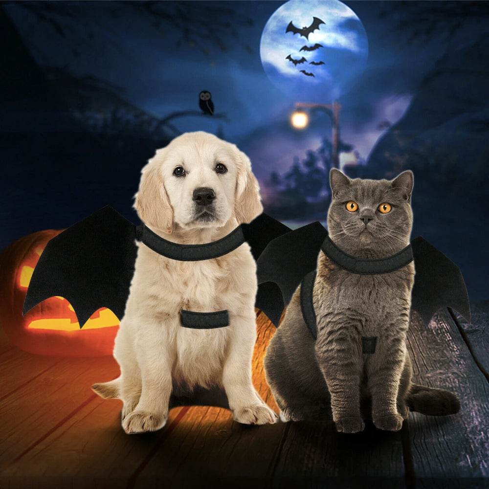 Halloween Pet Bat Wings Costume Cat and Dogs - Trendy Dog Boutique