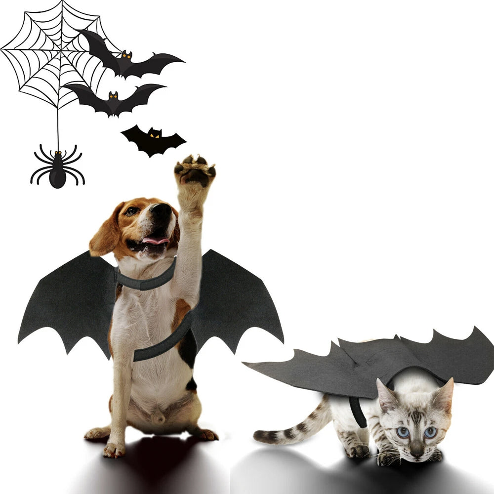 Halloween Pet Bat Wings Costume Cat and Dogs - Trendy Dog Boutique