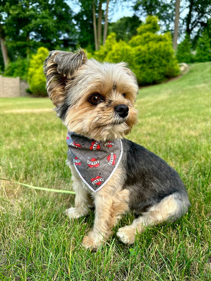 Dog Dad Bandana - Trendy Dog Boutique