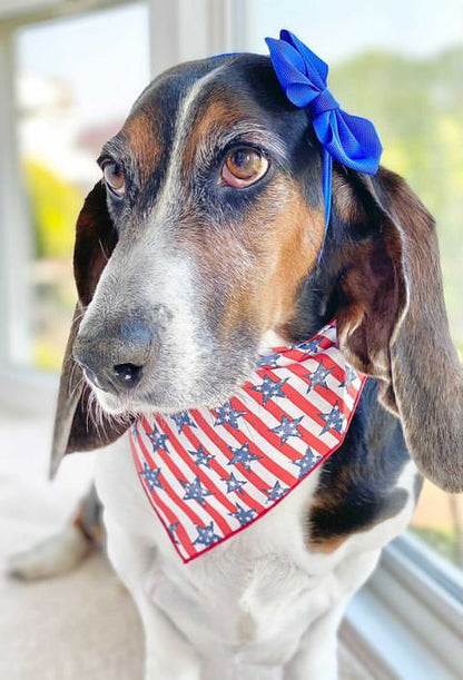 July 4th  - Memorial Day Dog Bandana - Trendy Dog Boutique