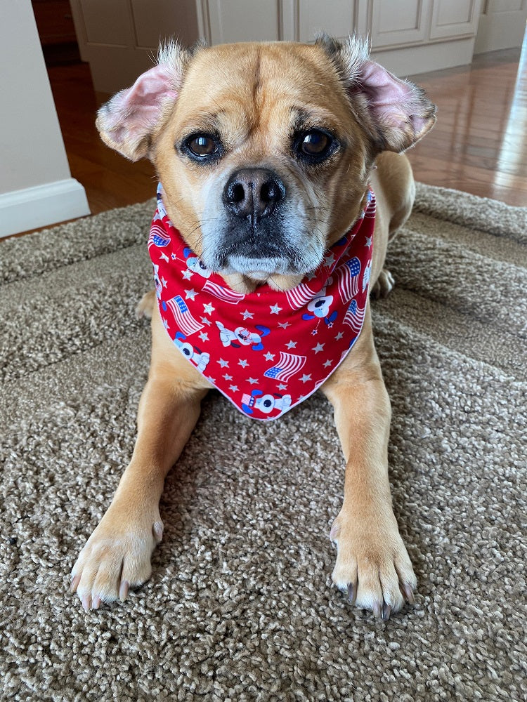 July 4th  - Memorial Day Patriotic Doggies Design Bandana - Trendy Dog Boutique