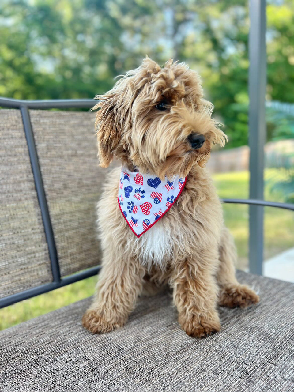 July 4th  - Memorial Day Hearts and Paws Dog Bandana - Trendy Dog Boutique