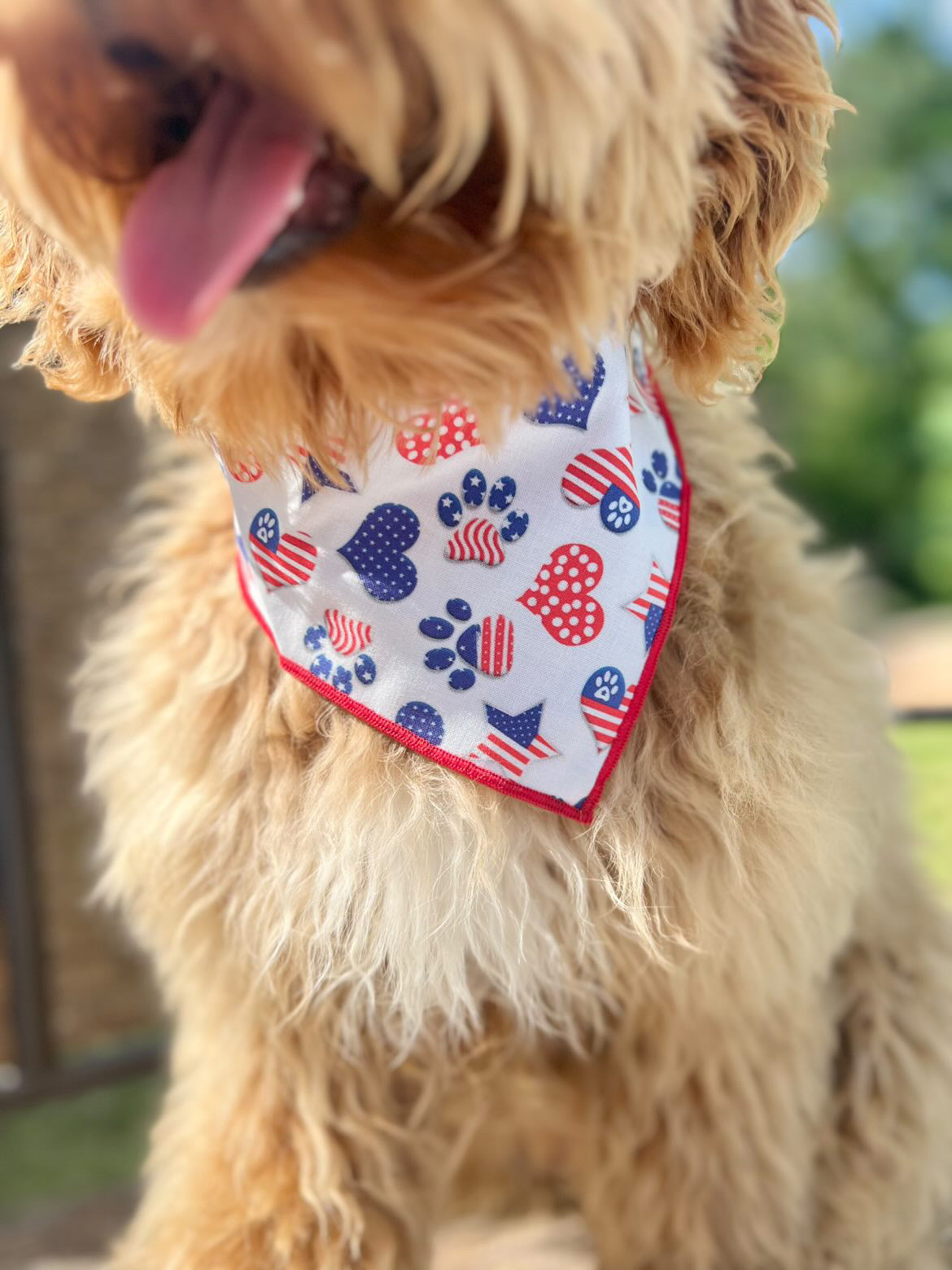 July 4th  - Memorial Day Hearts and Paws Dog Bandana - Trendy Dog Boutique