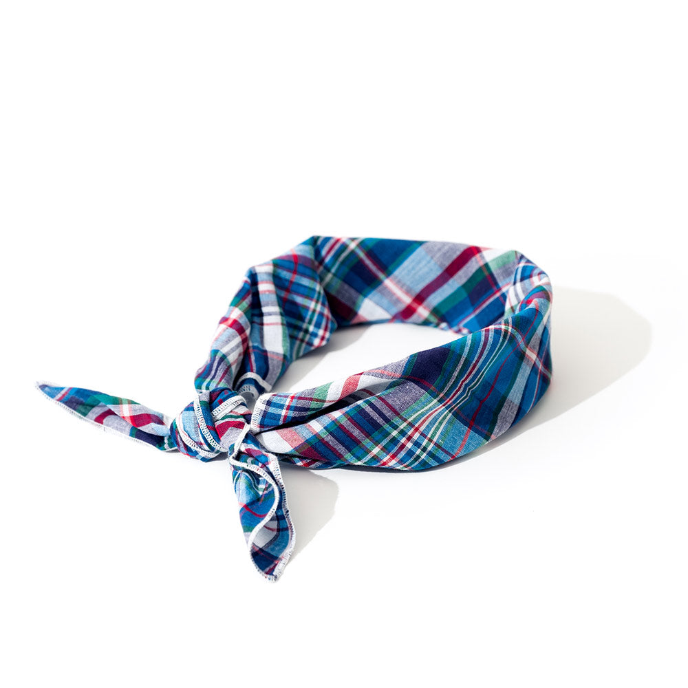 Madras Navy Plaid Classic Dog Bandana, Back View, Tied - Trendy Dog Boutique