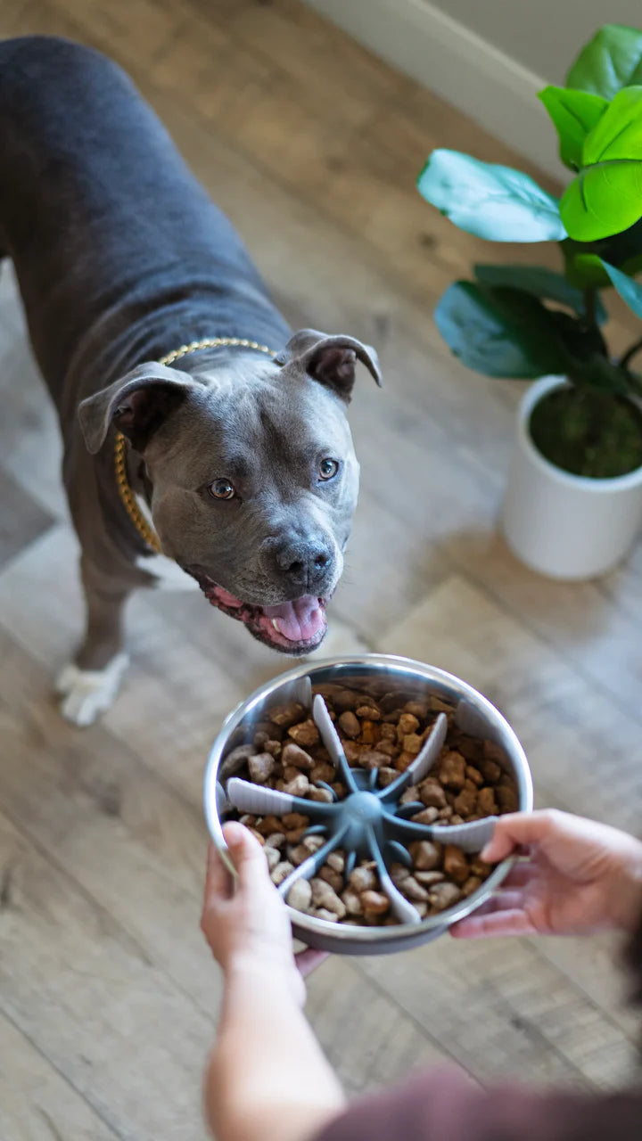 Slow Feeder Dog Bowl Insert - Trendy Dog Boutique