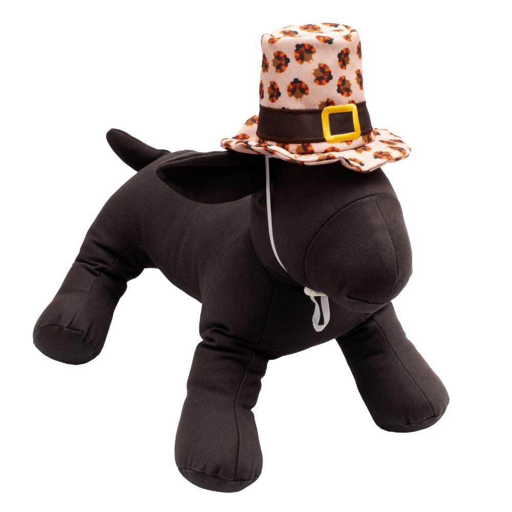 Pilgrim Thanksgiving Hat for Dogs - Trendy Dog Boutique