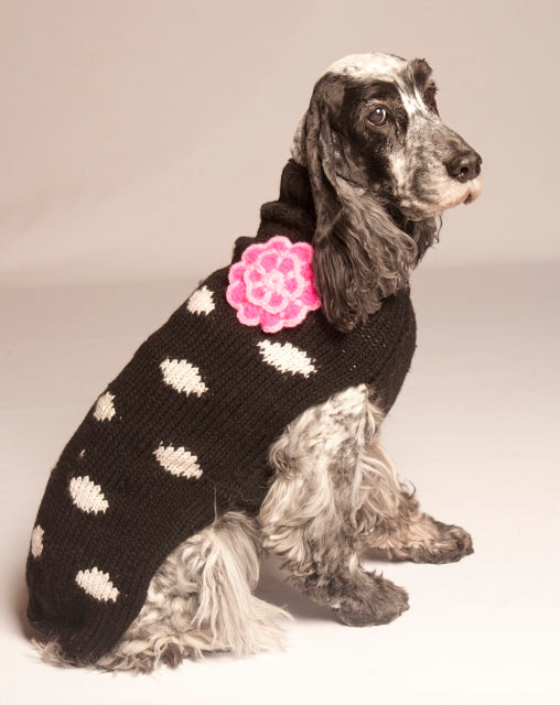 Polka Dot & Flower Dog Sweater, On Dog, Side - Trendy Dog Boutique