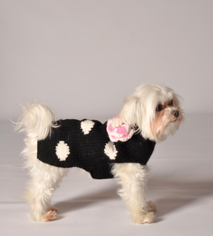 Polka Dot & Flower Dog Sweater, On Small Dog - Trendy Dog Boutique