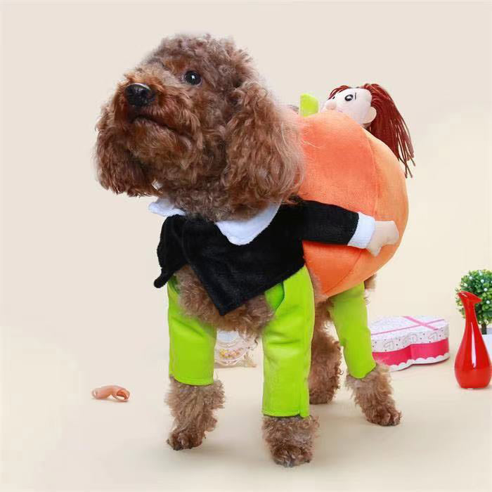 Pumpkin Mon' Halloween Halloween Dog Costume - Trendy Dog Boutique