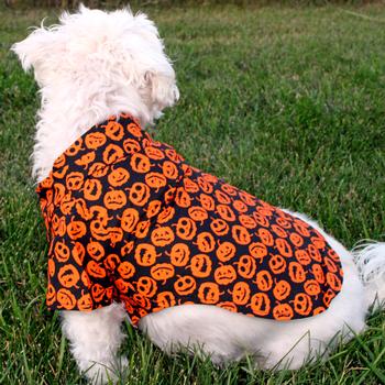 Halloween Jack O' Lanterns Doggie Shirt, On Dog - Trendy Dog Boutique