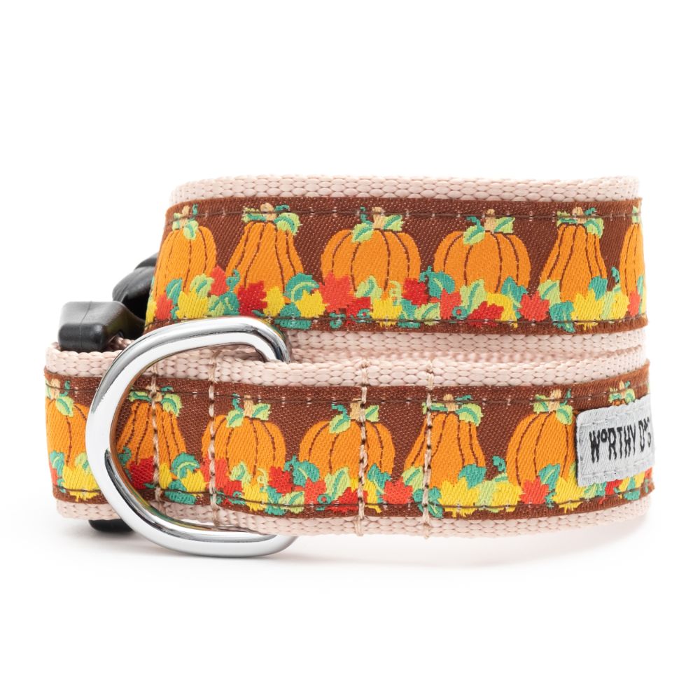 Pumpkin Patch Fall Dog Collar - Trendy Dog Boutique