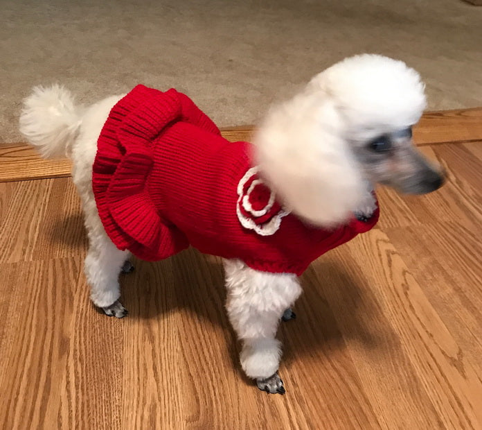 Red Sweater Dog Dress