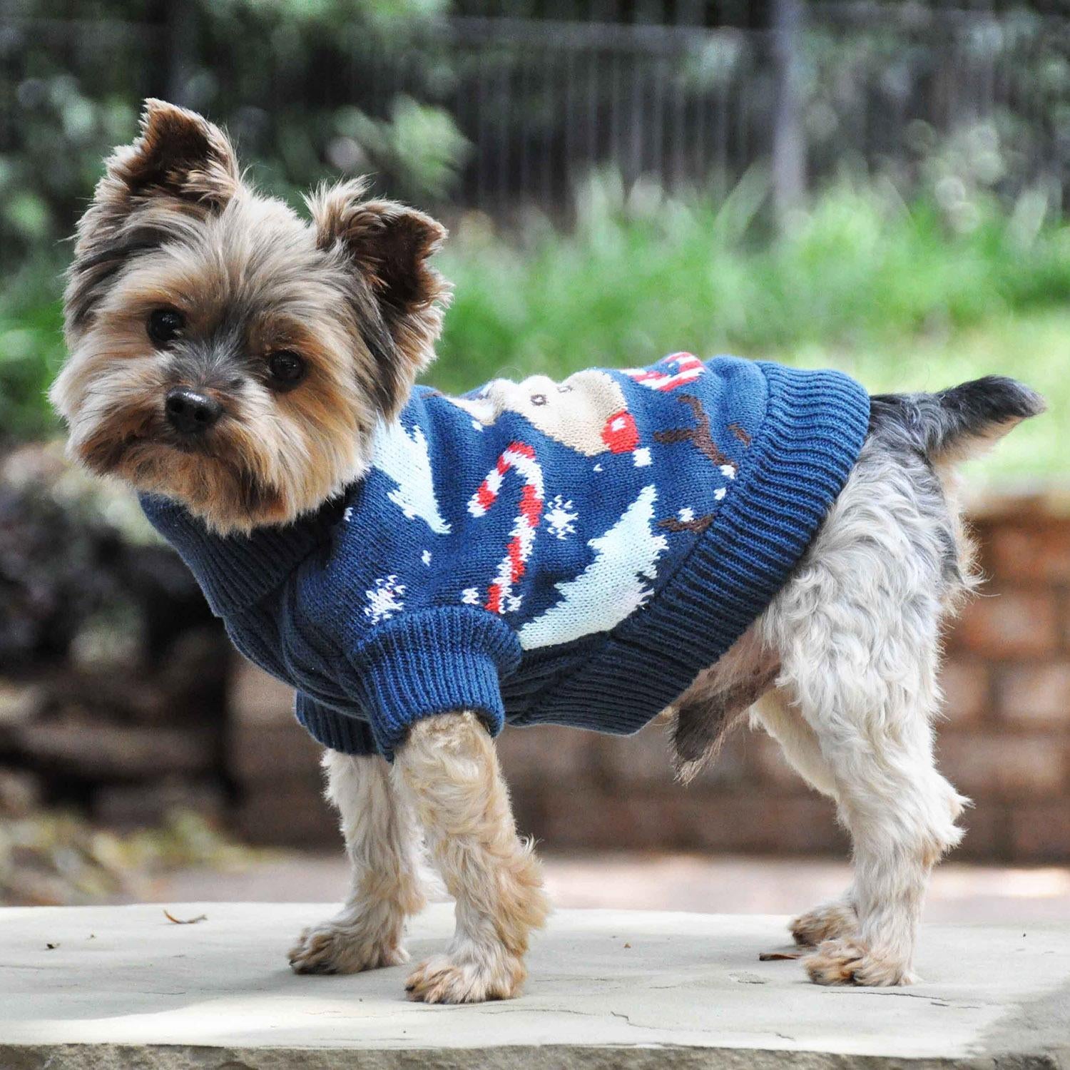 Reindeer Holiday Dog Sweater - Trendy Dog Boutique