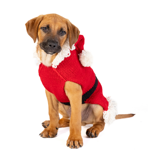 Santa Dog Sweater - Trendy Dog Boutique