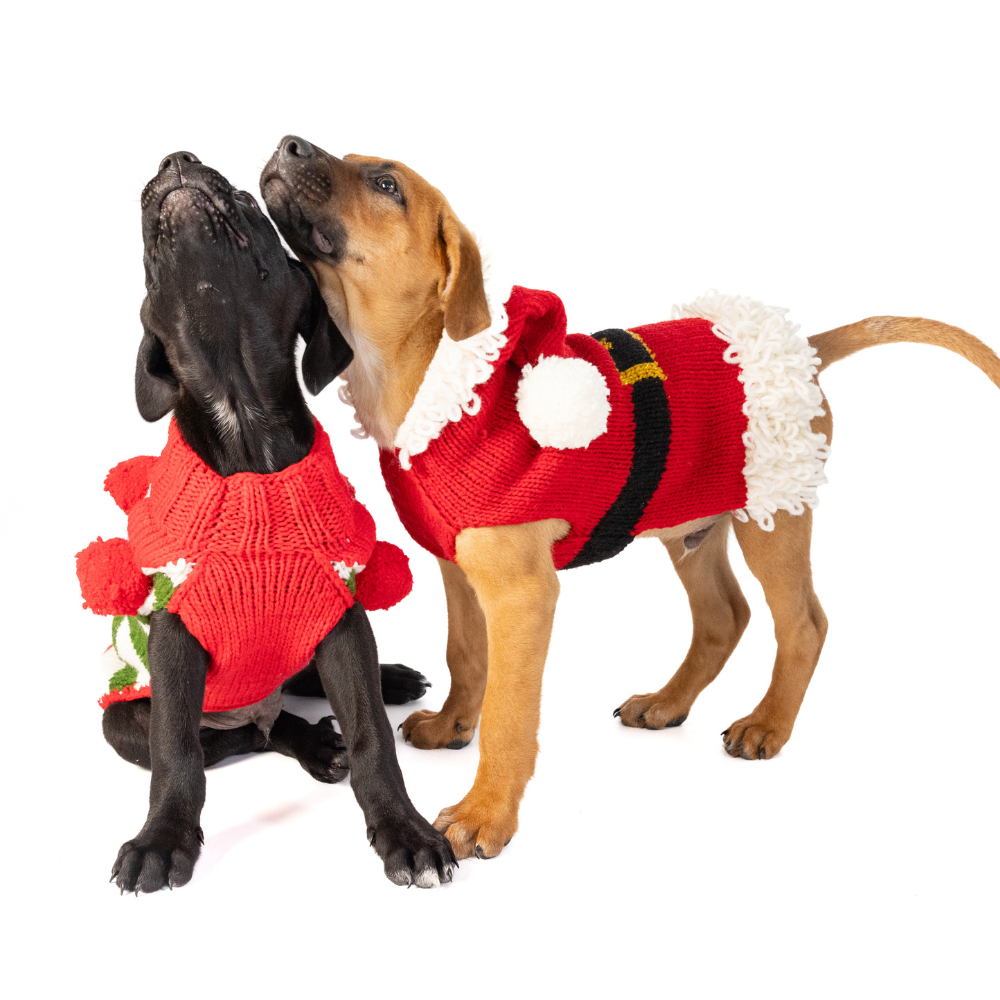 Santa Dog Sweater - Trendy Dog Boutique