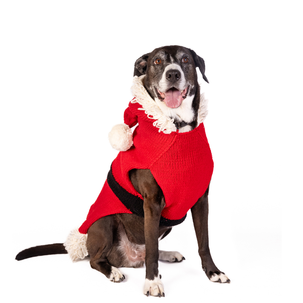 Santa Dog Sweater - Trendy Dog Boutique