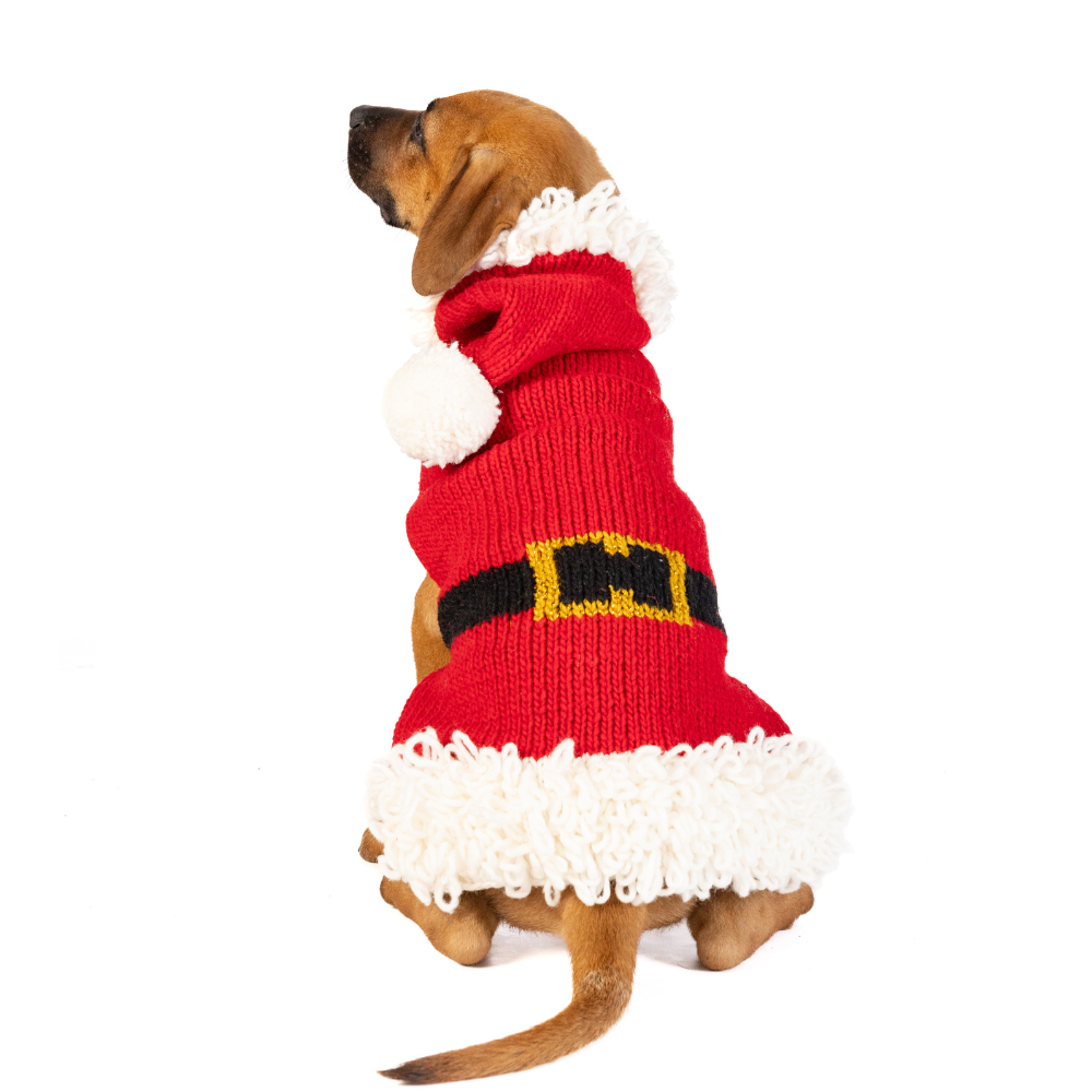 Santa Dog Sweater - Trendy Dog Boutique