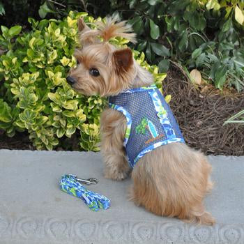 Cool Mesh Blue & Green Surfboard Dog Harness, On Small Dog, Rear View w/ Leash - Trendy Dog Boutique