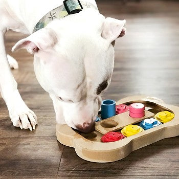 Brainiac Busy Bone™ Interactive Pet Toy - Trendy Dog Boutique